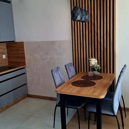 Apartament Blue Wislane Tarasy Cracovia